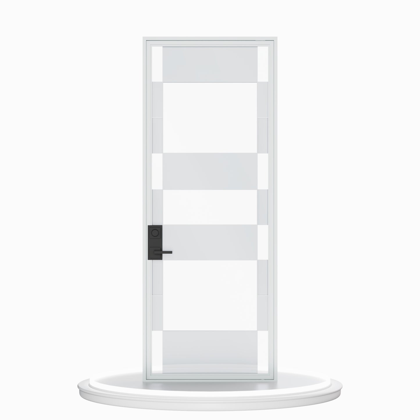 Stainless Steel Pivot Door