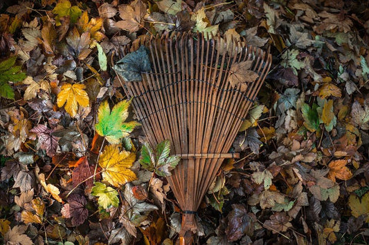 Fall Leaf Cleanup Tips-Cascade Manufacturing