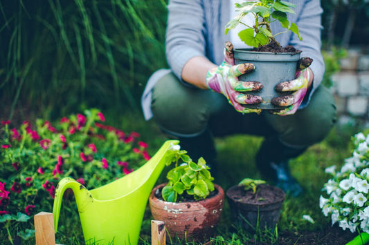 Getting Your Backyard Ready for Spring-Cascade Manufacturing