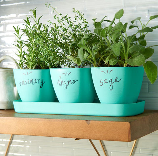 Indoor Herb Gardening-Cascade Manufacturing