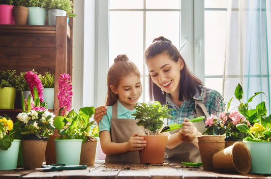 Summer Gardening: What to Plant and How to Thrive-Cascade Manufacturing