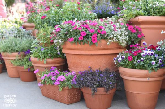 Tips & Tricks for Better Container Gardening-Cascade Manufacturing