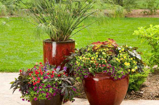 Tip for container gardening in small spaces