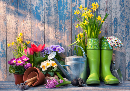 Popular Products for Wholesale Nurseries