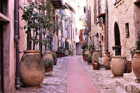 Trees in containers in alley