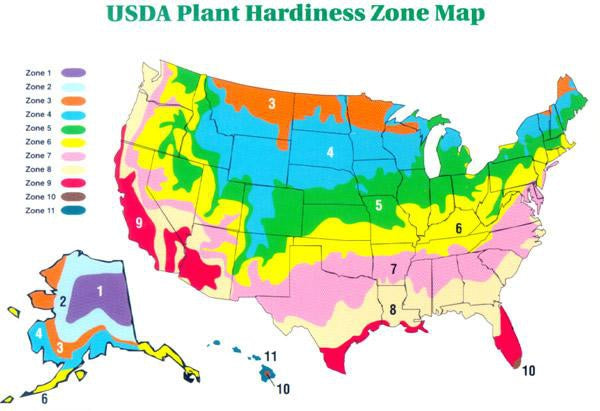 The Basics of Gardening Zones-Cascade Manufacturing