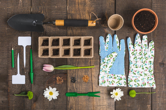 Step By Step Instructions for Planting Bulbs