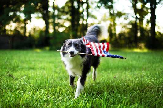 labor day party ideas