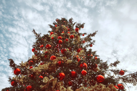 Outdoor holiday decorating ideas