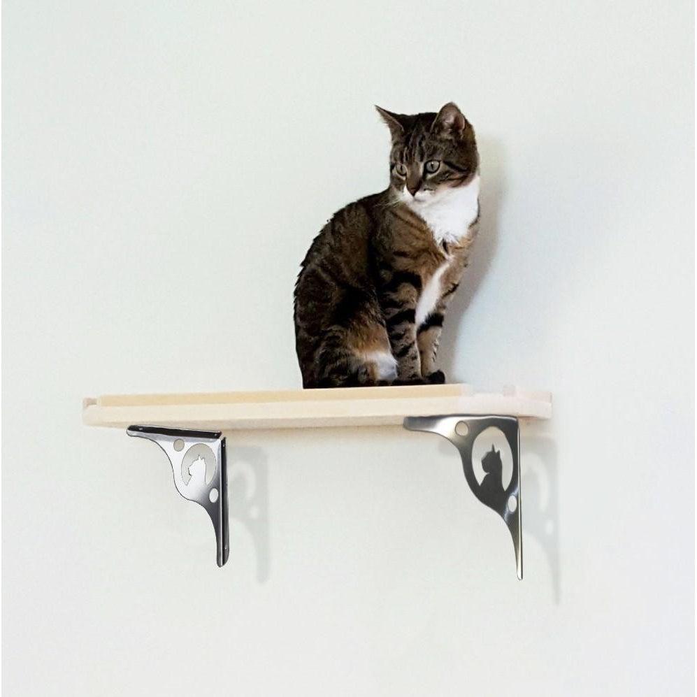 wall cat shelf brackets for cat theme book shelf or cat tree