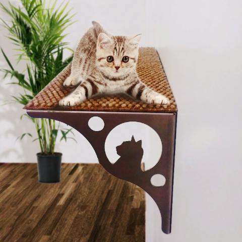 Cat climbing wall shelf