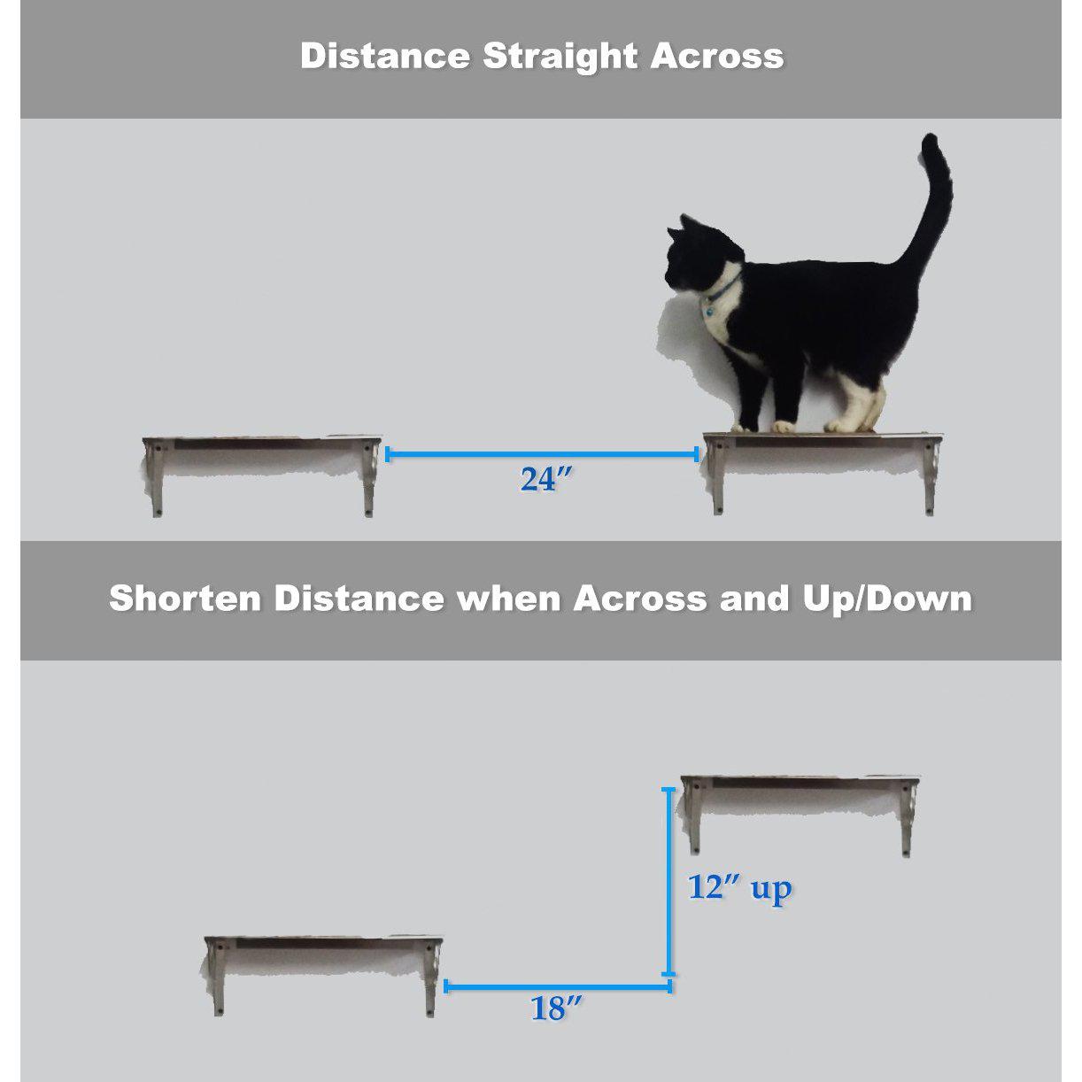 Cat climbing wall shelf installation distances