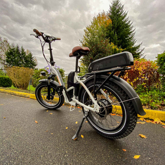 rad bike with battery adapter and bottle holder mounting bracket outside in front of fall colored trees.